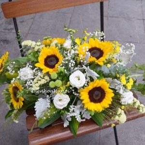 Hoa hội nghị đẹp HN-05